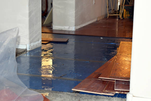 Professional Sewage Cleanup technician working in Pontiac, MI