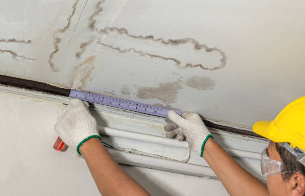 Reliable Sewage Cleanup contractor in Pontiac, MI by Water Damage Irwin